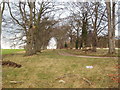 Avenue of Trees, Grange Moor near Wetherby in LS23 6PS