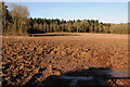 Ploughed field and Mill Wood in HR2 9DS