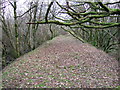 Former railway track by River Burn in PL19 9PZ