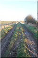 Footpath towards the Beach in Anderby Creek