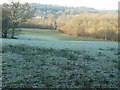 View from the edge of Giffard's Wood in RH19 4QN