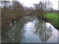 Reflections on the Mells River in BA11 2PG