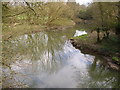 River Mole from Boxhill Bridge in RH4 1NN