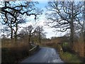 Bridge over a stream near Wheatcroft Farm in EX15 1GY