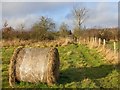 Straw bale by the footpath in B94 6DQ