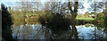 View across small pond in the Donheads in SP7 9EA