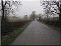 Foggy Day on Little Dalby Road in Burton and Dalby