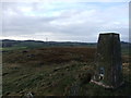 Trig pillar and fort, Duncarnock in G77 6PN