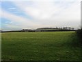 Fields south of Limington in BA22 8EF