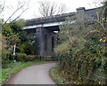 East side of a railway viaduct, Stonehouse in GL10 3QU