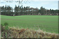 Farmland near Noranside in DD8 3QT