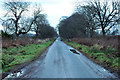 Minor road near West Muir in DD9 7RD