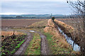 Fields on the flood plain of the River South Esk in DD9 6SH