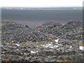Potato muck near Cock Fen Farm, Lakes End in PE14 9QF
