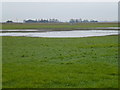 Flooded farmland near Burgess Farm, Fifty Road in PE14 9SP