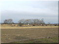 Fields north of the A159 in DN21 3BJ