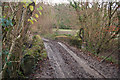 A bridge over Venn Stream at Duckslake in EX32 0PY