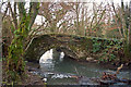 A bridge in the woods crossing Venn Stream at Duckslake in EX32 0PY