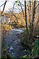 A view up Venn Stream from a bridge on Yeoland Lane in EX32 0QU