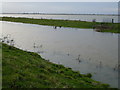 Early winter flooding - The Ouse Washes near Pymoor in CB6 2EG