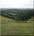 Valley near Wottens Farm in Bere Ferrers