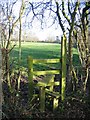 Stile behind Lea Newbold Farm in CH3 6EY