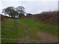 Track and public footpath running west from Drummers Well in EX6 6HQ