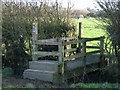 Bridge Stile over Drainage Ditch in CH3 6EY