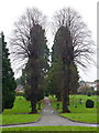 Tredworth cemetery, 2 in GL4 6TW