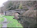 Ynsmeudwy Bridge over canal in SA8 3DU