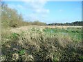 Windrush watermeadows in OX29 0RZ