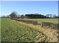 Hedge and fields near The Lodge in NE68 7UY