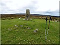 Park Lead Mines Trig Point S3108 in LL11 3DR