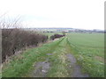 Track off the B1434 in DN38 6BW