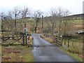 Cattle grid near the Tone Inn in NE48 3JE