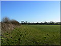 Field between Easton Royal and Marr Green, Wiltshire in SN8 3BS