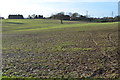 Fields off Boat Lane in TN25 7BL