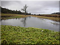 Winterbourne in Flood in SN8 2FU