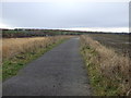 Teesdale Way Cycle Path in TS17 5LF