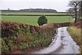 Mid Devon : Country Road in EX16 7QH