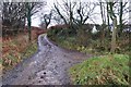 Mid Devon : Public Byway in EX16 7QH