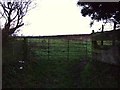 Field entrance off Scholla Lane in DL6 3QW