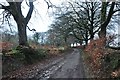 Mid Devon : Countryside Track in EX16 7NJ
