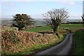 Lane and Pasture south of Dutson in PL15 9QS