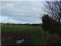 Farmland off Campion Lane in TS15 0DX