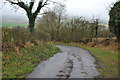 Lane North of Boltongate looking back towards Boltongate in CA7 1DJ