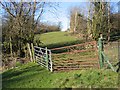 Field Gates at Tan-y-Cefn in CH7 4QW