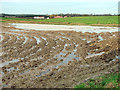 Flooded field west of High Noon Lane in Hemblington