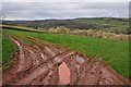 Mid Devon : Grassy Hillsides in EX16 9BB