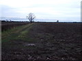 Farmland off Allerton Balk in TS15 9QN
